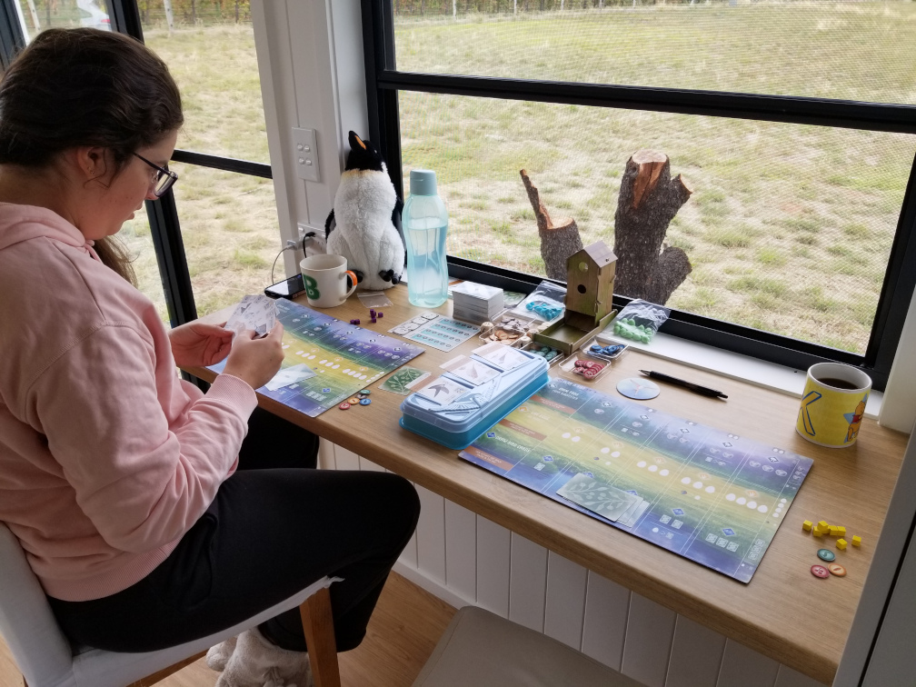 Wingspan board game